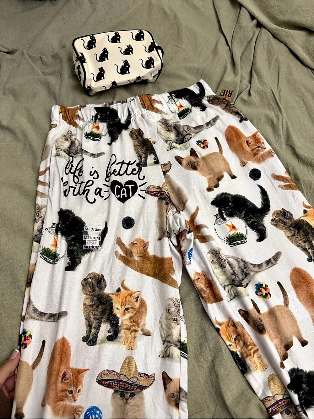 Brief Insanity Life Is Better With a Cat Lounge Pants Medium